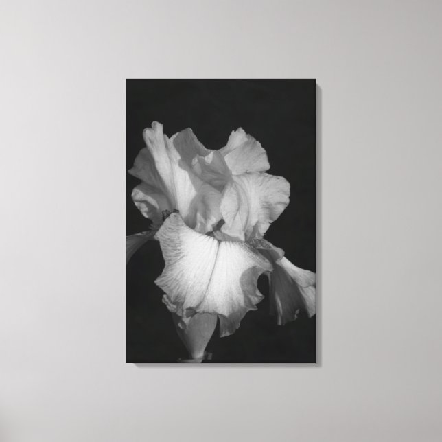 Svart och vit Iris Blommig Foto Canvastryck (Framsida)