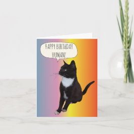 Svart och vit katt födelsedagskort personalisera kort