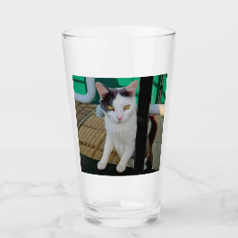 Svart och vit katt glaskopp