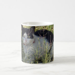 Svart och vit katt i Garden. Kaffemugg