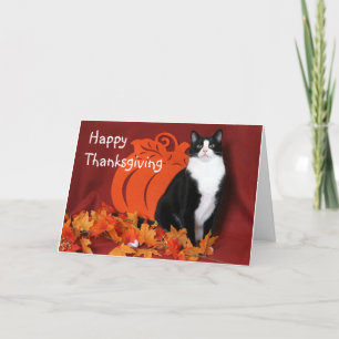 Svart och vit katt säger Glad Thanksgiving Kort