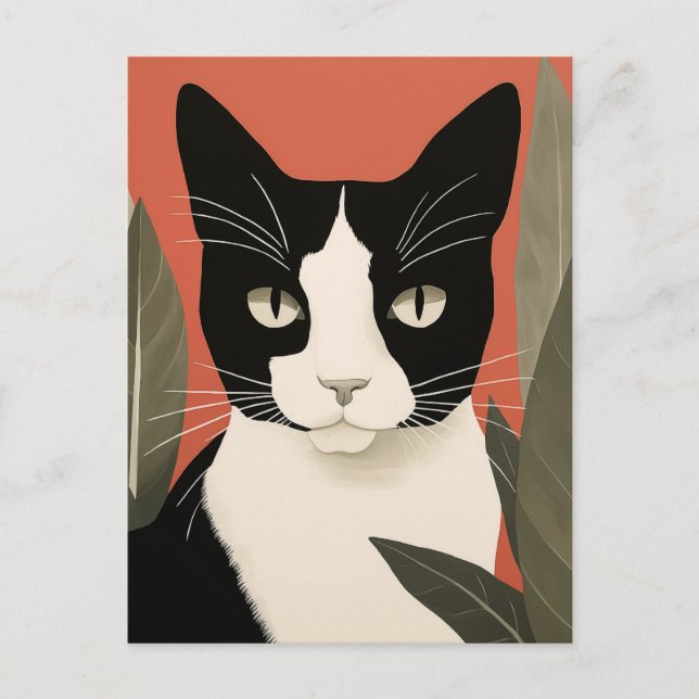 Svart och vit katt vykort (Framsida)