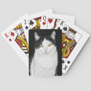 Svart och vit kattporträtt casinokort