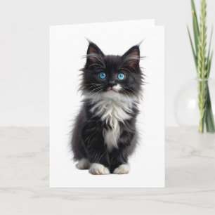 Svart och vit långhårig katt blå ögon tom kort