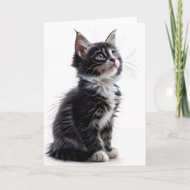 Svart och vit långhårig katt tom hälsningskort kort (Framsida)