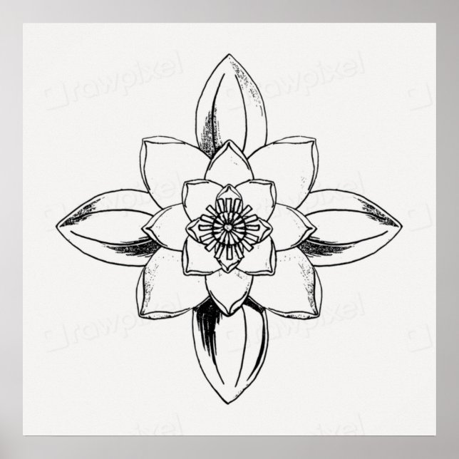 Svart och vit linjedragning vattenlilja blomma  poster (Framsidan)