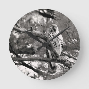 Svart och vit natur Röd skulderad Hawk - Rund Klocka