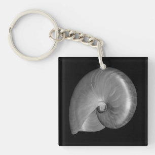 Svart och vit Nautilus-skal