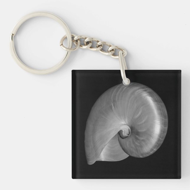 Svart och vit Nautilus-skal (Framsidan)