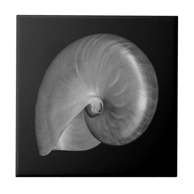 Svart och vit Nautilus-skal Kakelplatta (Framsidan)