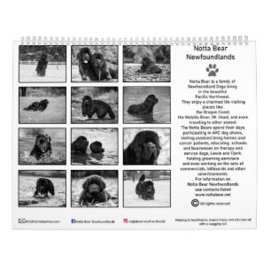 Svart och vit newfoundlandsfotografering kalender