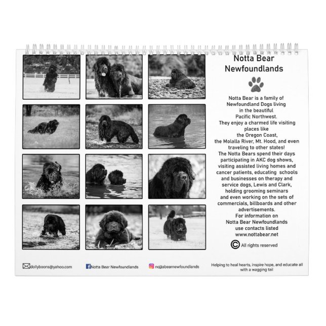 Svart och vit newfoundlandsfotografering kalender (Baksida)