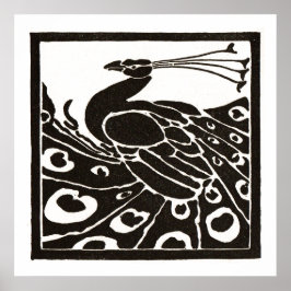 SVART OCH VIT PAON POSTER
