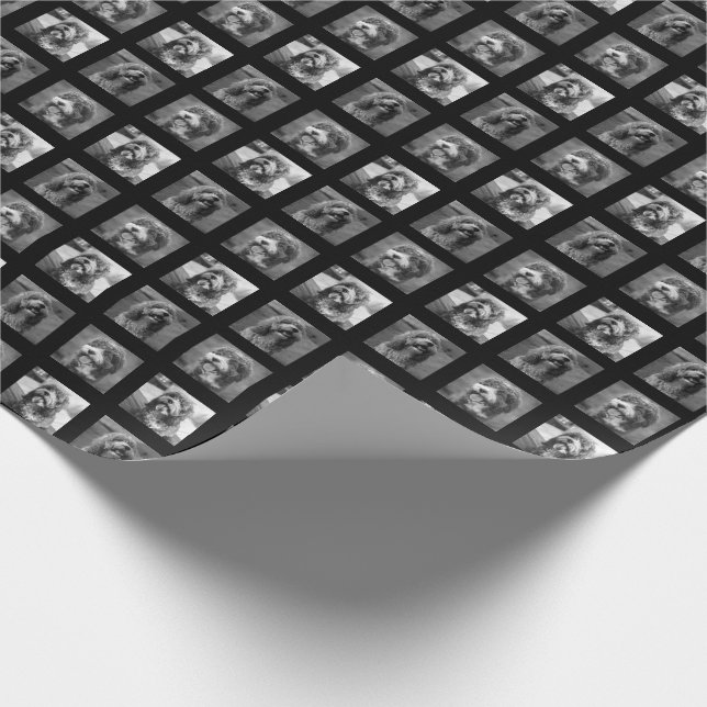 Svart och vit petfärg presentpapper (Hörn)