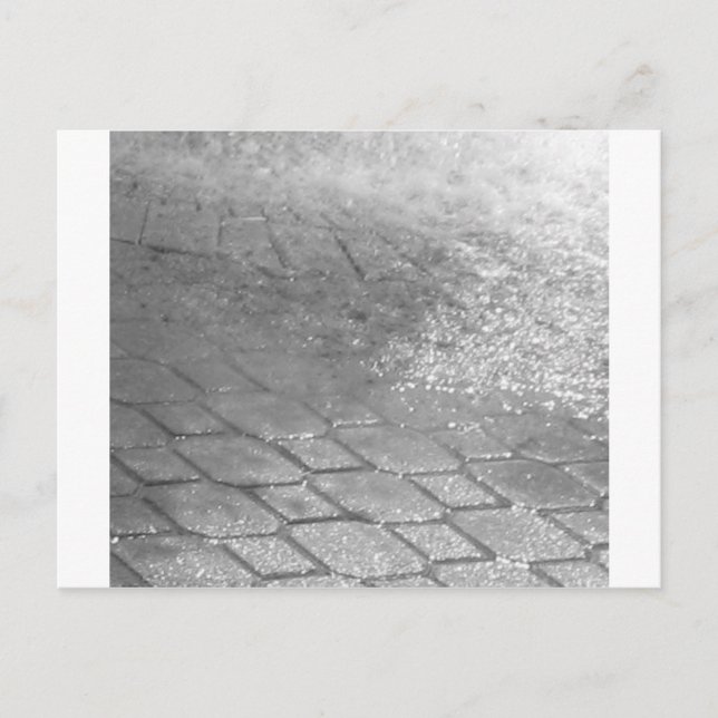 Svart och vit regnDroppar Vykort (Framsida)