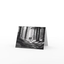 Svart och vit romantisk kopplarpromenad i skogen