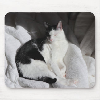 Svart och vit sovande katt/Lägg till ditt husdjurs Musmatta