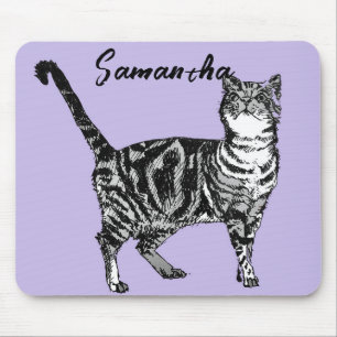 Svart och vit tabby katt tjej namn lila musmatta