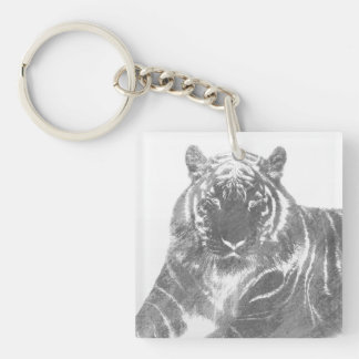 Svart och vit tiger