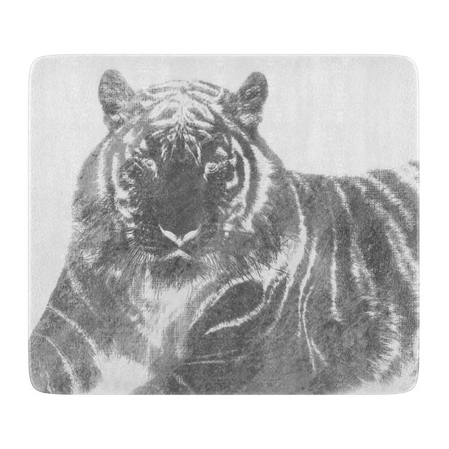 Svart och vit tiger (Framsidan)