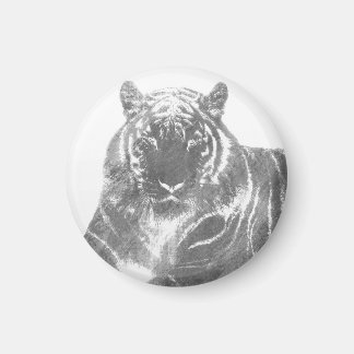 Svart och vit tiger magnet