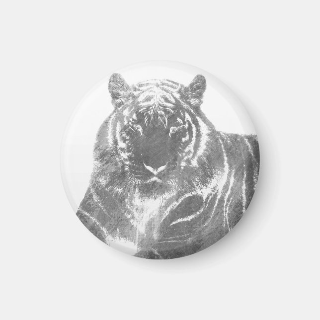 Svart och vit tiger magnet (Framsidan)