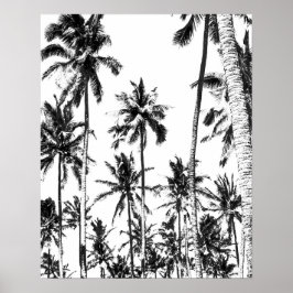 Svart och vit tropisk sommar handflatan träd poster
