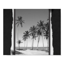 Svart och vit tropisk teckning