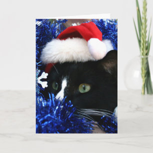 Svart och vit tuxedo-christmas-hatten helgkort