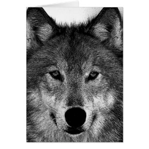 Svart och vit Varg Hälsningskort