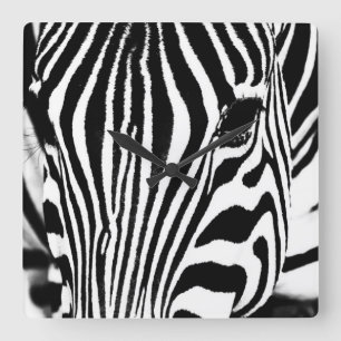 Svart och vit Zebra porträtt Fyrkantig Klocka