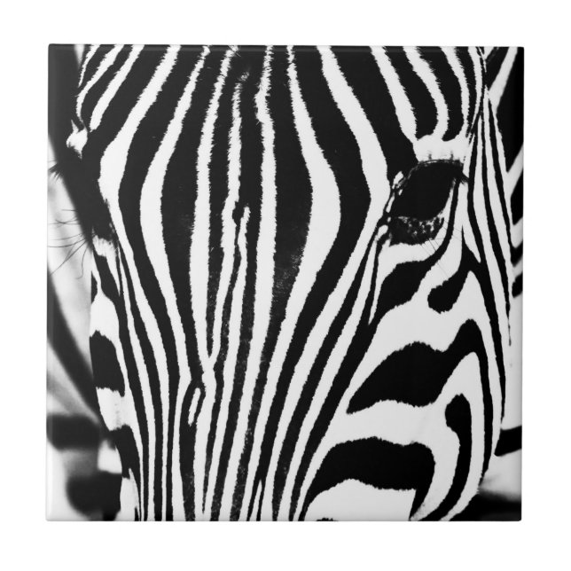 Svart och vit Zebra porträtt Kakelplatta (Framsidan)