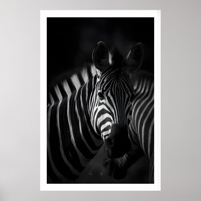 Svart och vit zebraprint, närbildsporträtt poster (Framsidan)