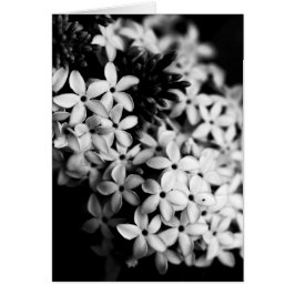 Svart och vita blommor hälsningskort