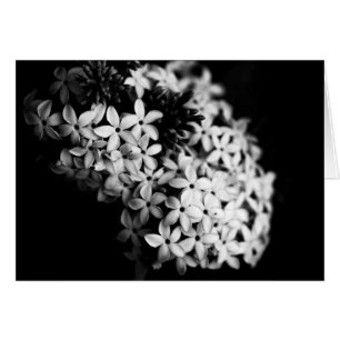 Svart och vita blommor hälsningskort