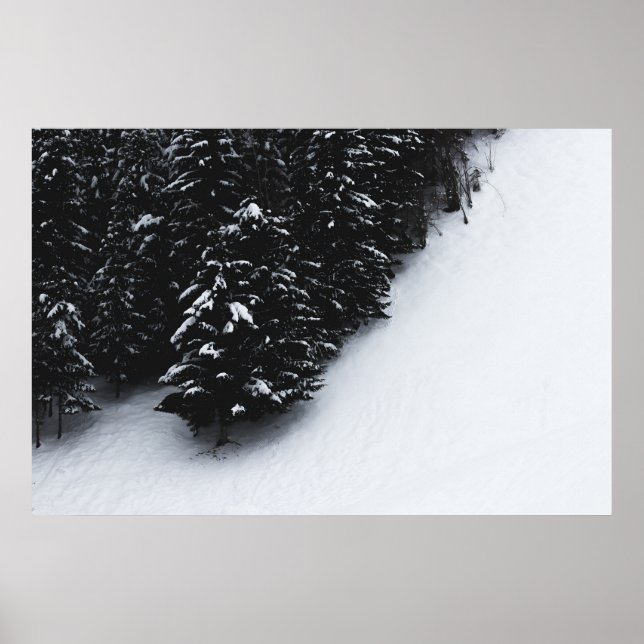 Svart- och vitrisskog samt snö poster (Framsidan)