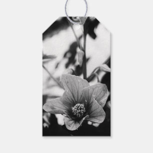 Svart och vitt abutilon Pictum Flower Bird Day Presentetikett