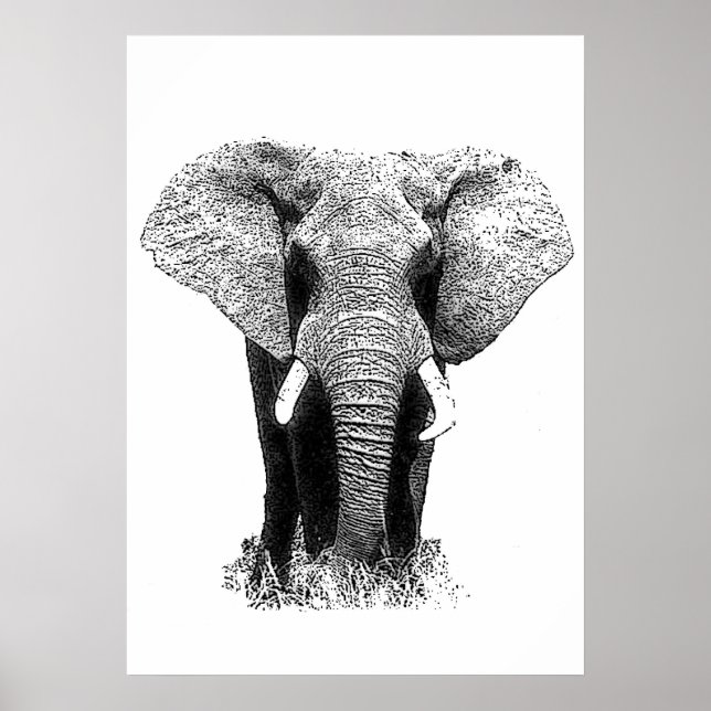 Svart och vitt asiatiskt elefant-poppkonst poster (Framsidan)