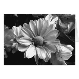 Svart och vitt blomfoto hälsningskort