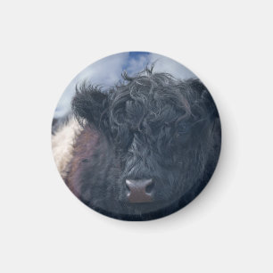 Svart och vitt, böjt bläckkotlett magnet