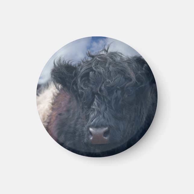Svart och vitt, böjt bläckkotlett magnet (Framsidan)