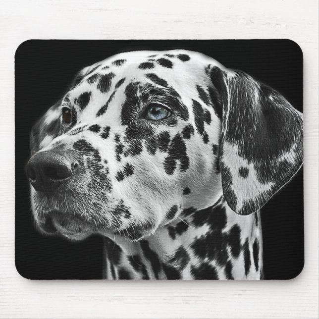 Svart och vitt Dalmatiskt Hund Foto Musmatta (Framsidan)