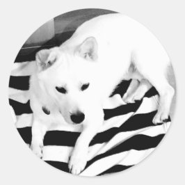 Svart och vitt Eno-märke Runt Klistermärke