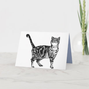 Svart och vitt födelsedagskort Tabby katt Kort