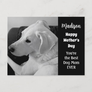 Svart och vitt foto av Cute Hund Mors dag Helg Vykort