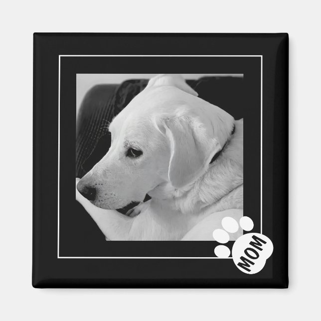 Svart och vitt foto av Cute Hund Tass Magnet (Framsidan)