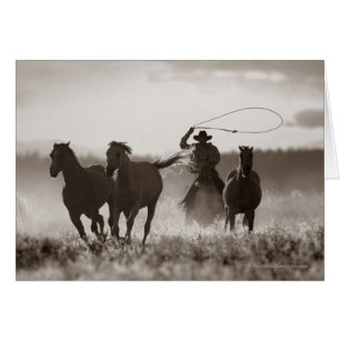 Svart och vitt foto av en Cowboys Lassoing Horses Hälsningskort