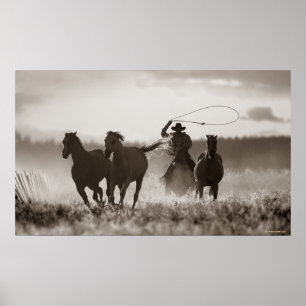 Svart och vitt foto av en Cowboys Lassoing Horses Poster