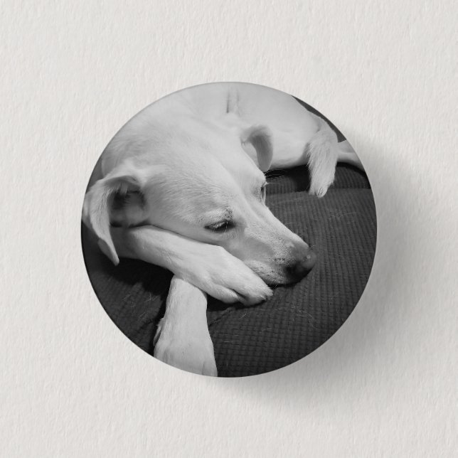 Svart och vitt foto av en vacker Hund Knapp (Framsida)