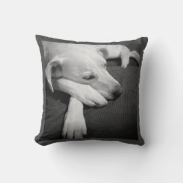 Svart och vitt foto av en vacker Hund Kudde